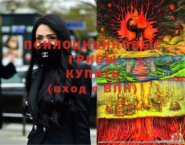 spice Алексин