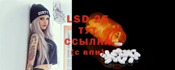 ECSTASY Алзамай