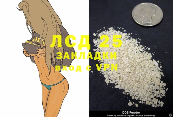 spice Алексин